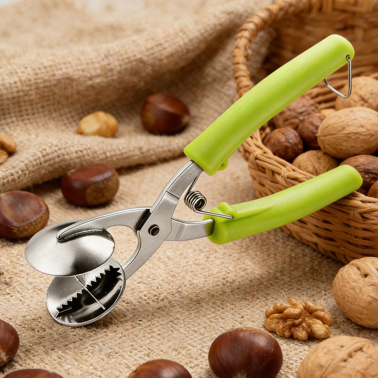 Kitchen Gadgets Everyone Needs - Outil de cuisine en acier inoxydable